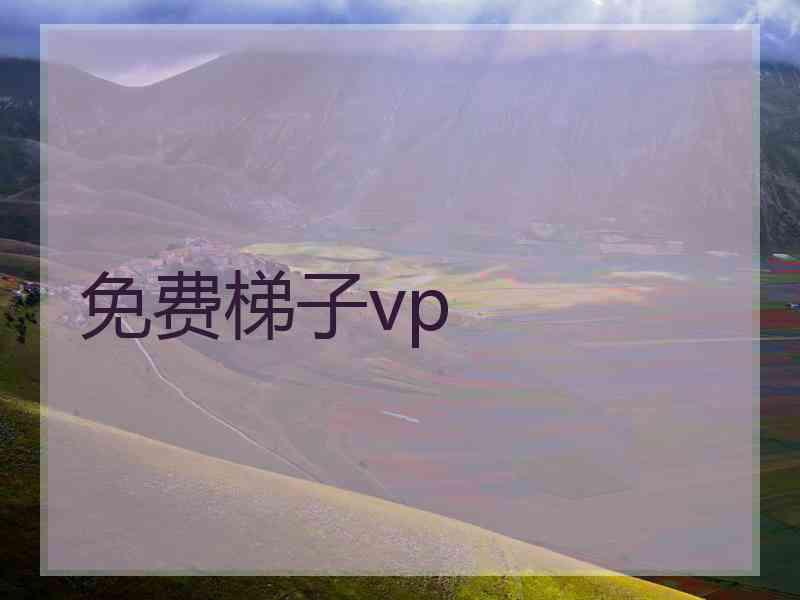 免费梯子vp