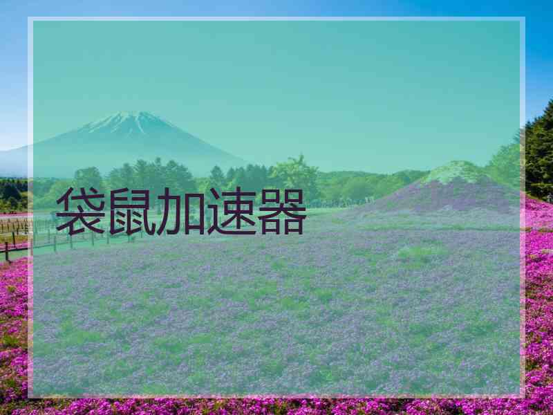 袋鼠加速器