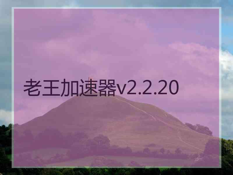 老王加速器v2.2.20