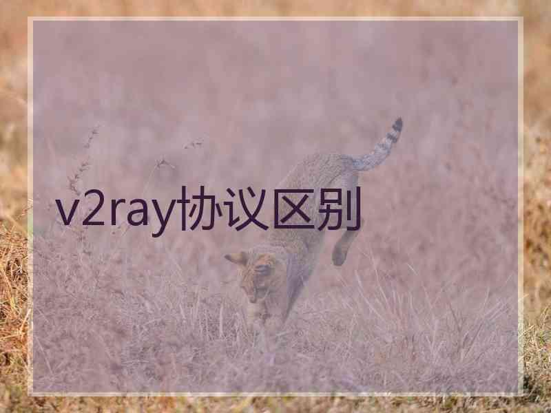 v2ray协议区别