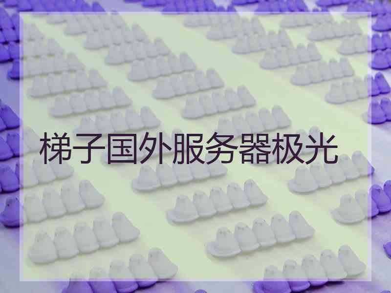 梯子国外服务器极光