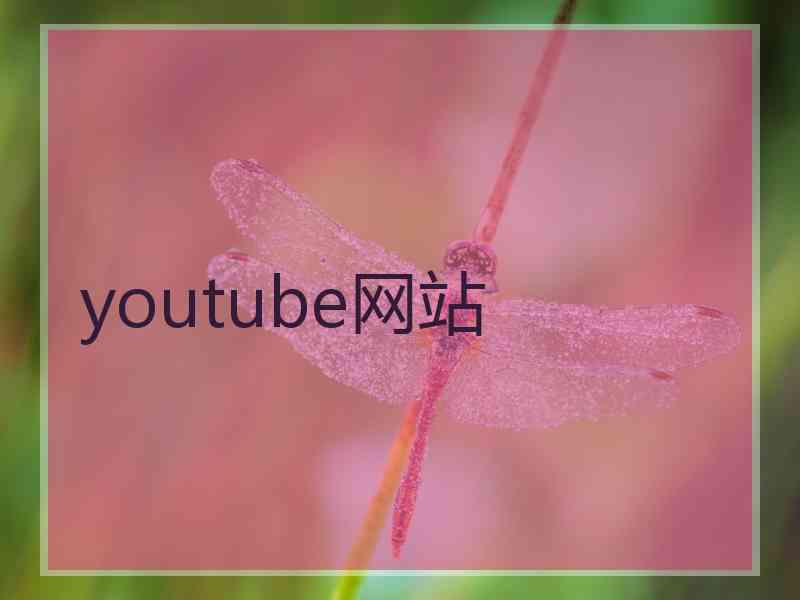 youtube网站