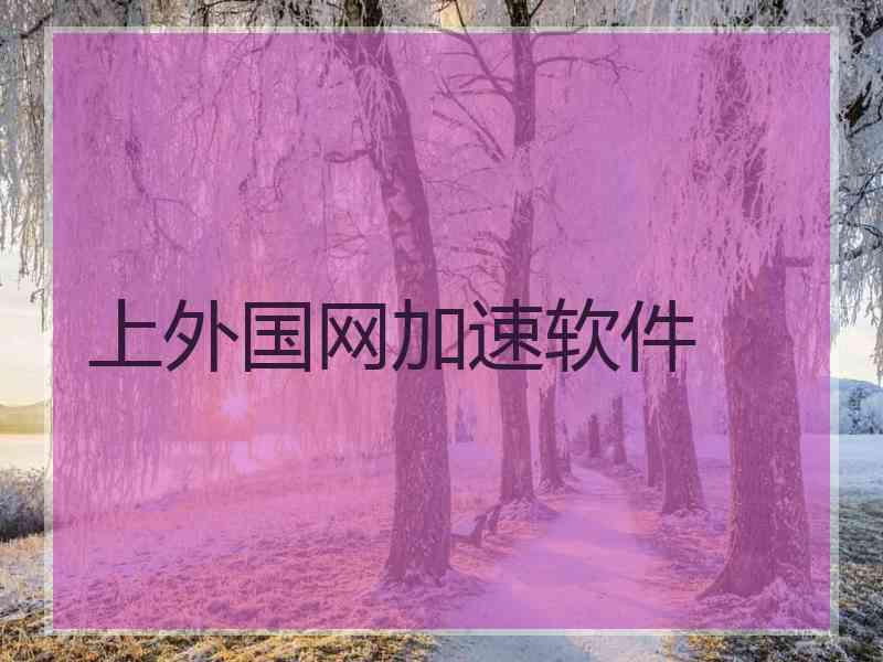 上外国网加速软件