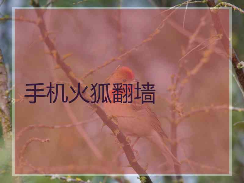 手机火狐翻墙