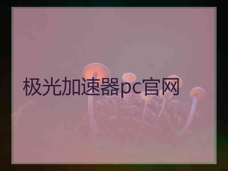 极光加速器pc官网