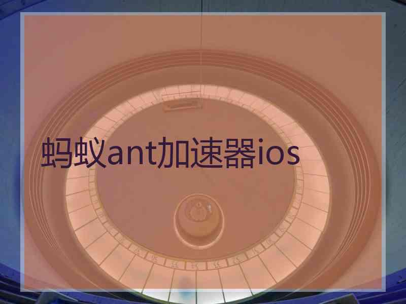 蚂蚁ant加速器ios