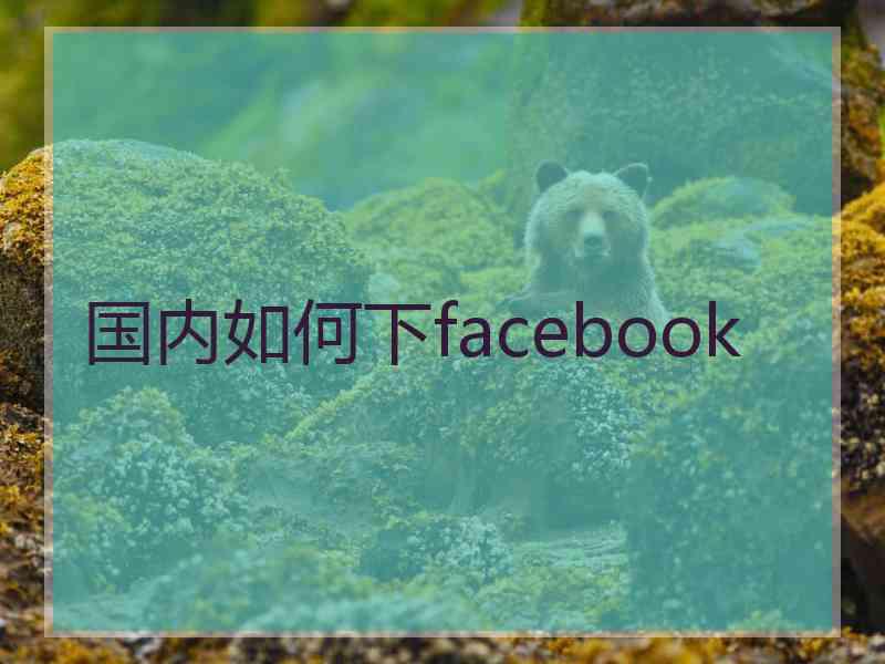 国内如何下facebook