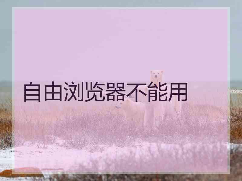 自由浏览器不能用