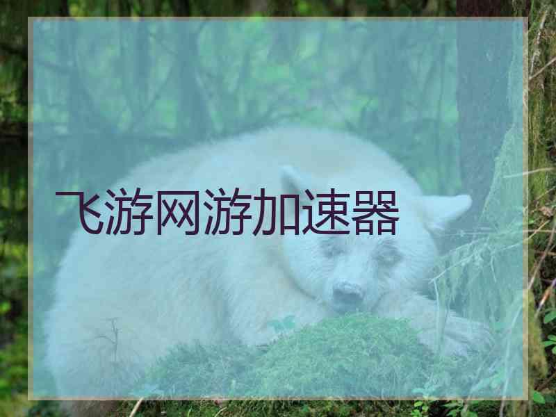 飞游网游加速器