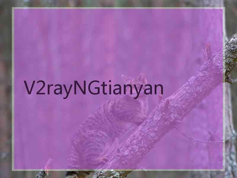 V2rayNGtianyan