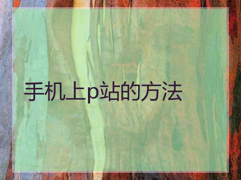 手机上p站的方法