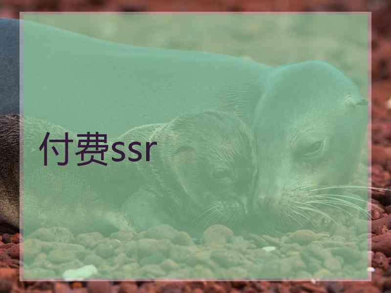 付费ssr