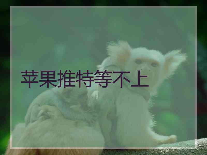 苹果推特等不上