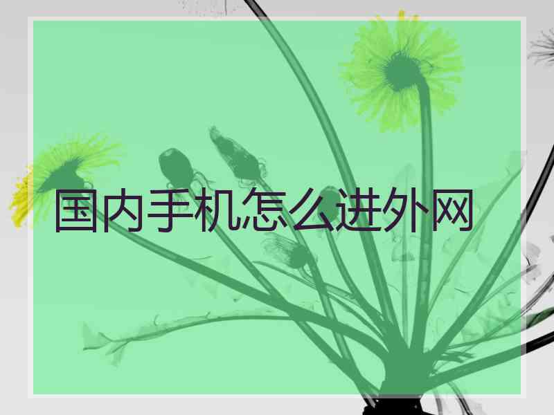 国内手机怎么进外网