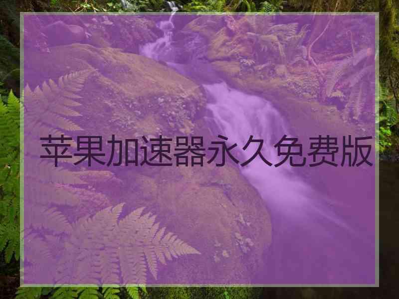 苹果加速器永久免费版