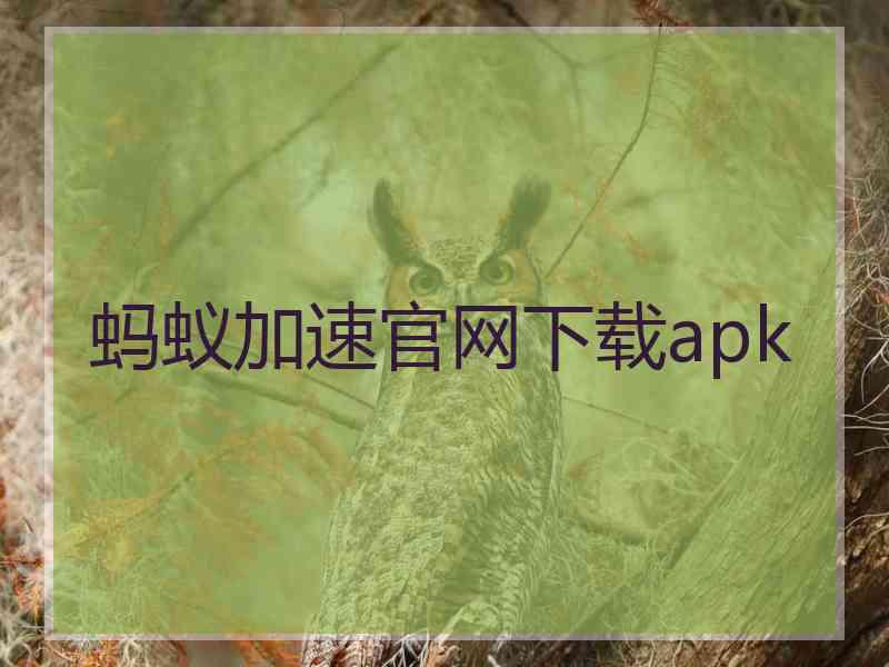 蚂蚁加速官网下载apk