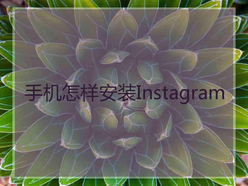 手机怎样安装Instagram