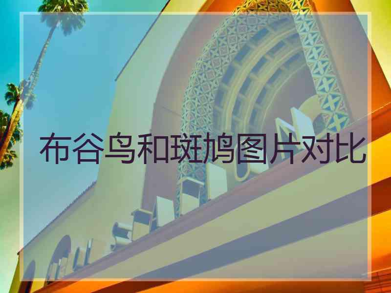 布谷鸟和斑鸠图片对比