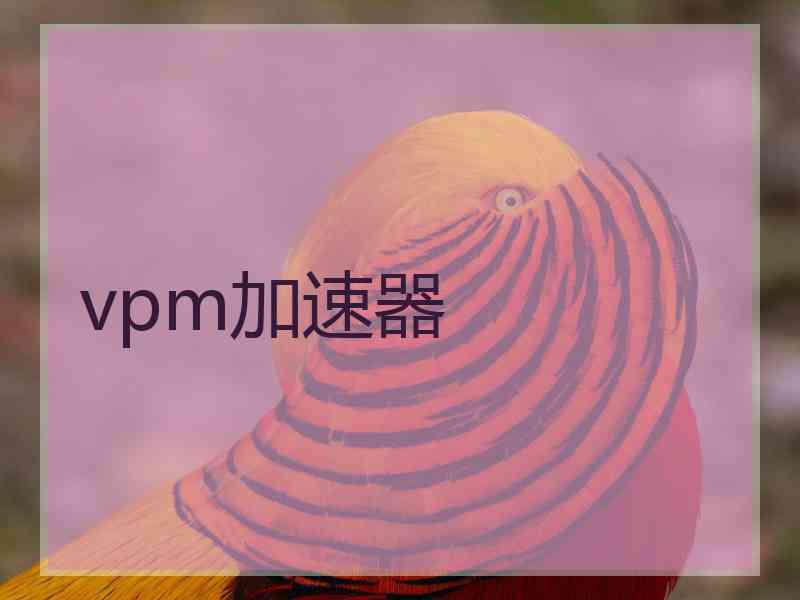 vpm加速器