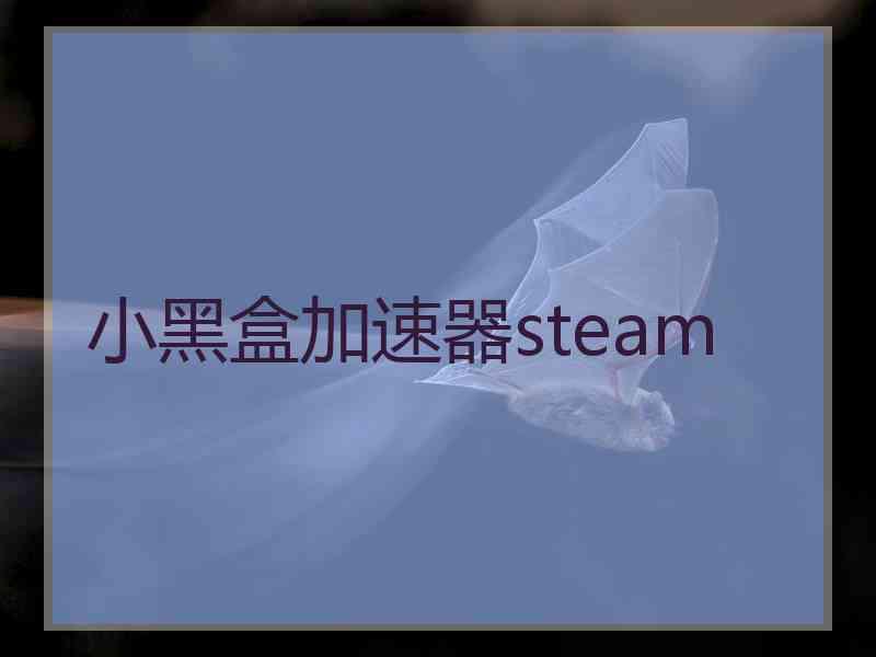 小黑盒加速器steam