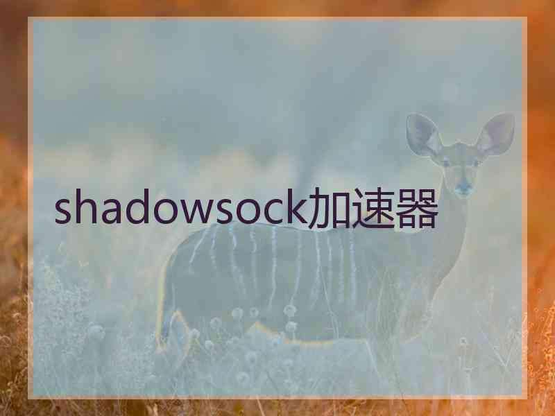 shadowsock加速器