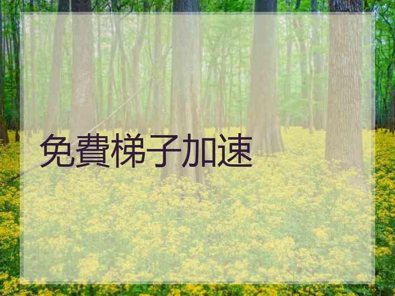 免費梯子加速