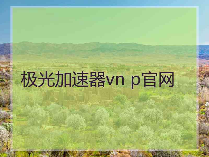 极光加速器vn p官网