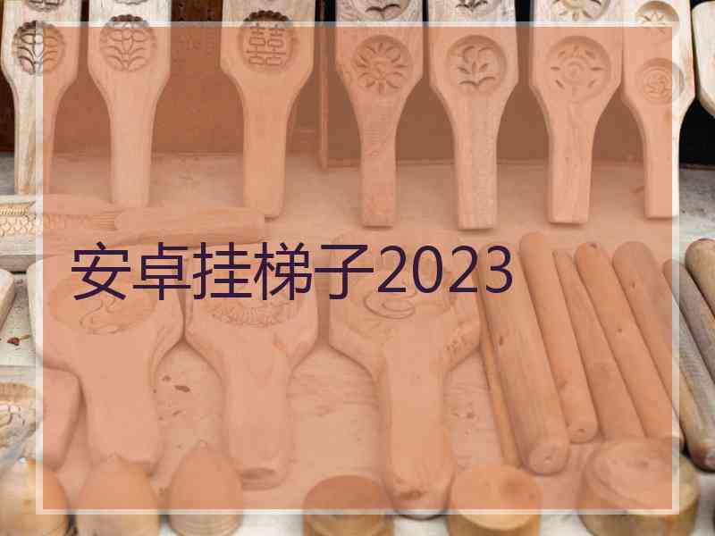 安卓挂梯子2023