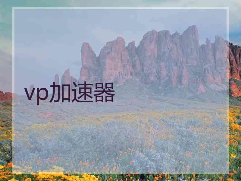 vp加速器