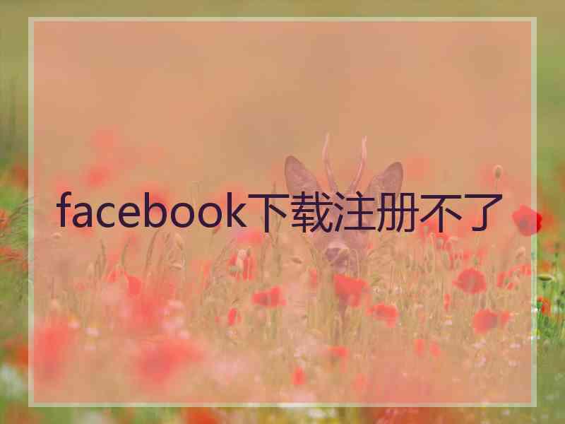 facebook下载注册不了