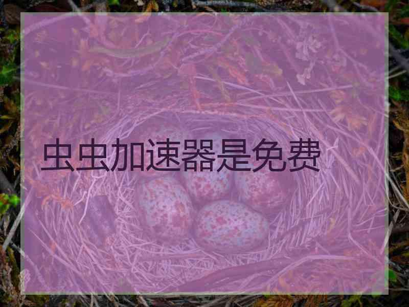 虫虫加速器是免费