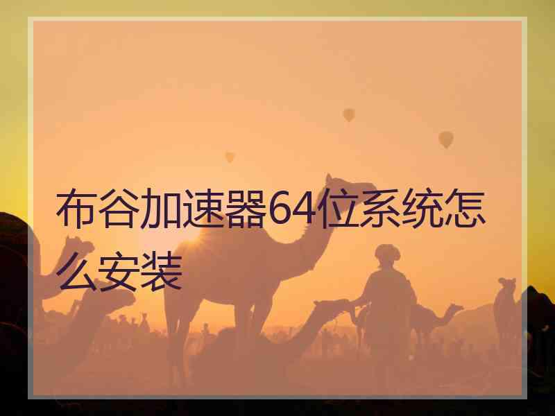 布谷加速器64位系统怎么安装