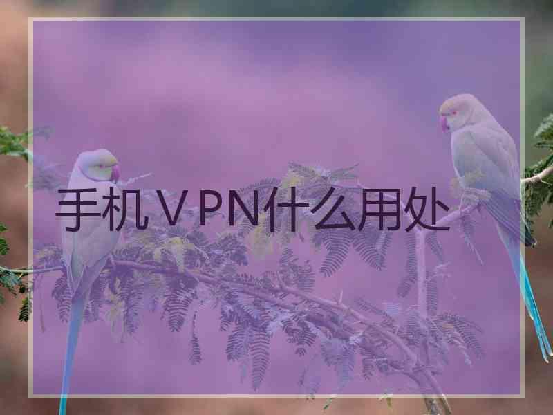 手机ⅤPN什么用处