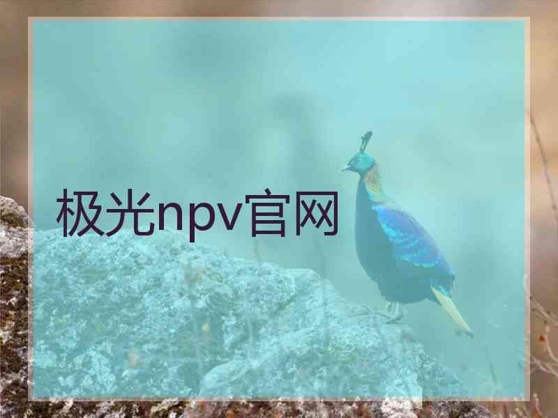 极光npv官网