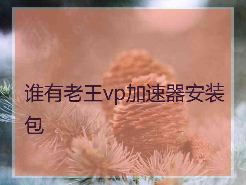 谁有老王vp加速器安装包