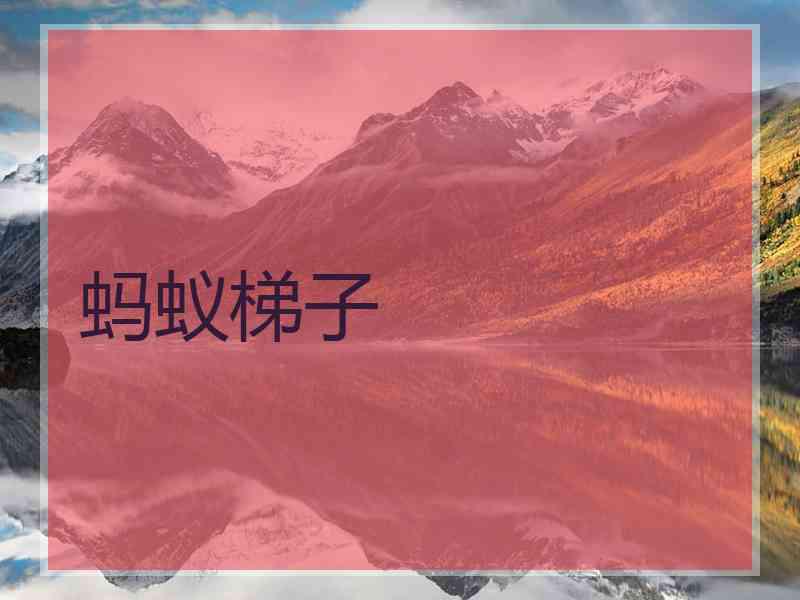 蚂蚁梯子