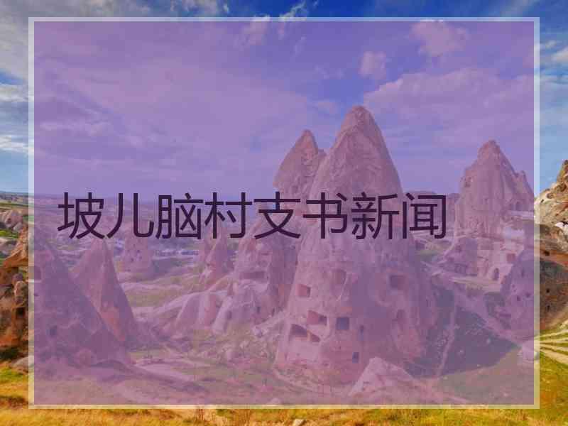 坡儿脑村支书新闻