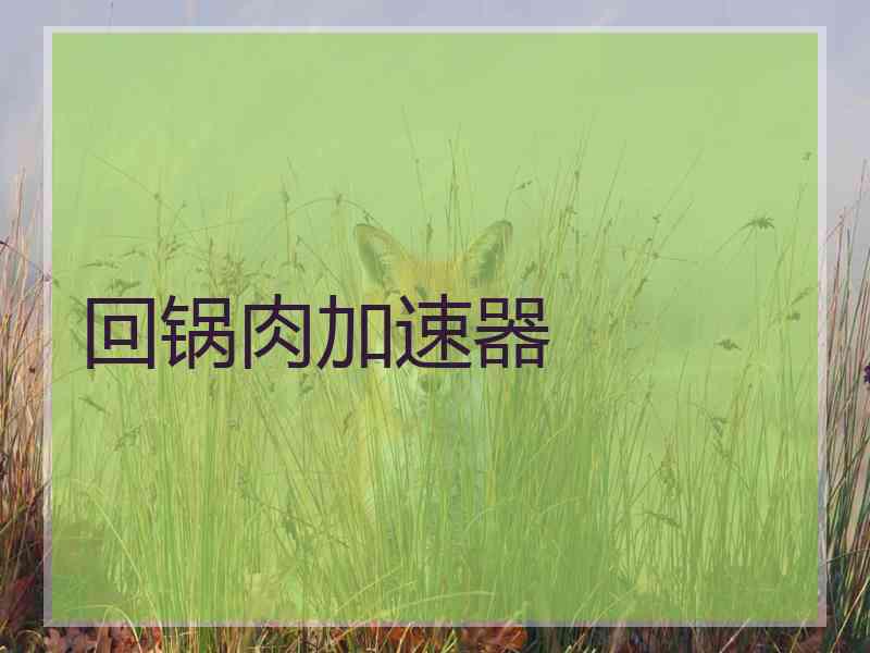 回锅肉加速器