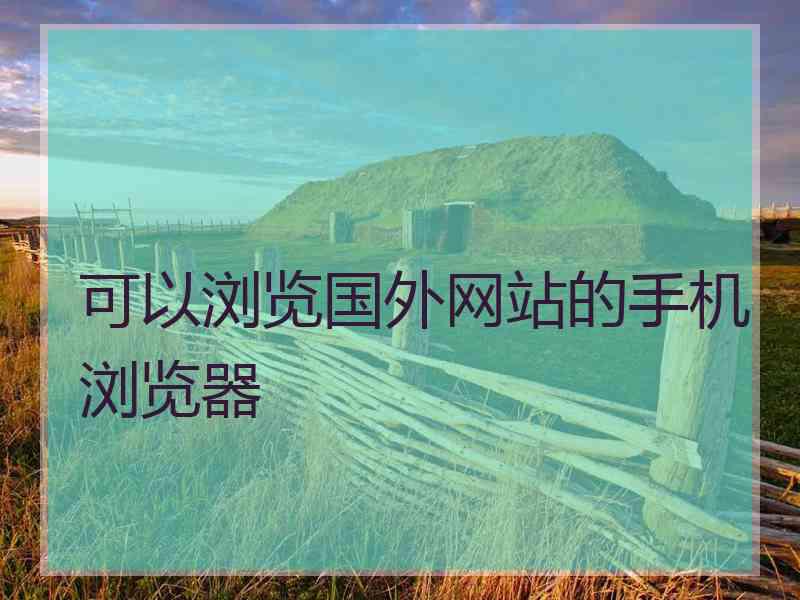 可以浏览国外网站的手机浏览器
