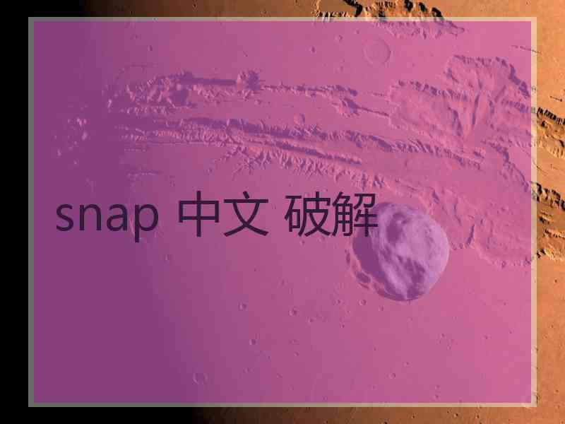 snap 中文 破解