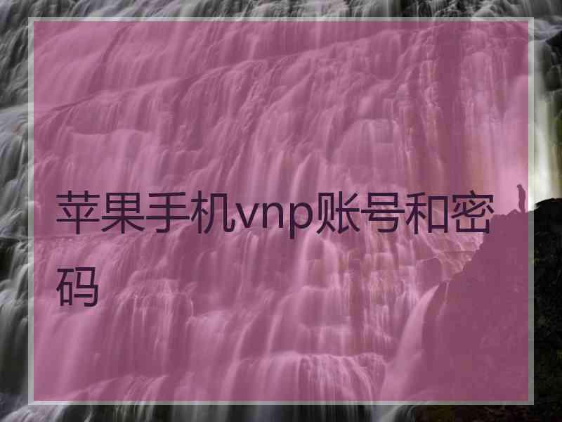 苹果手机vnp账号和密码
