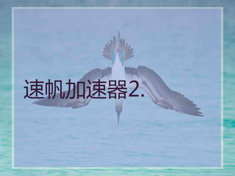 速帆加速器2.