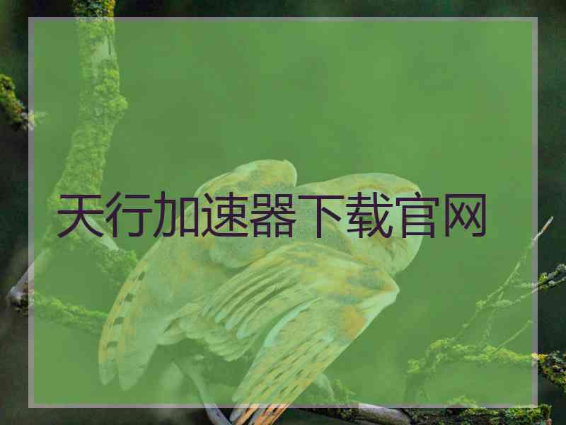 天行加速器下载官网