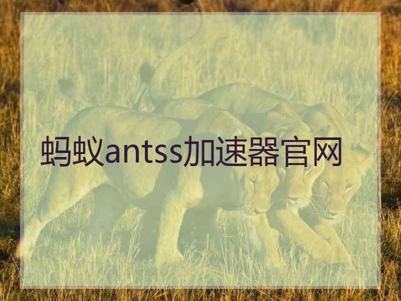 蚂蚁antss加速器官网