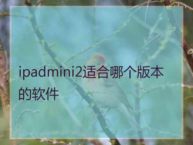 ipadmini2适合哪个版本的软件