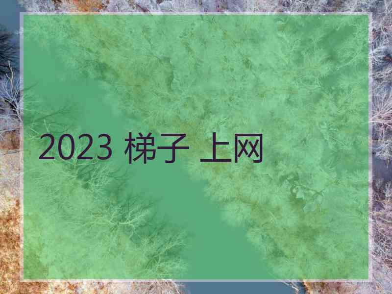 2023 梯子 上网