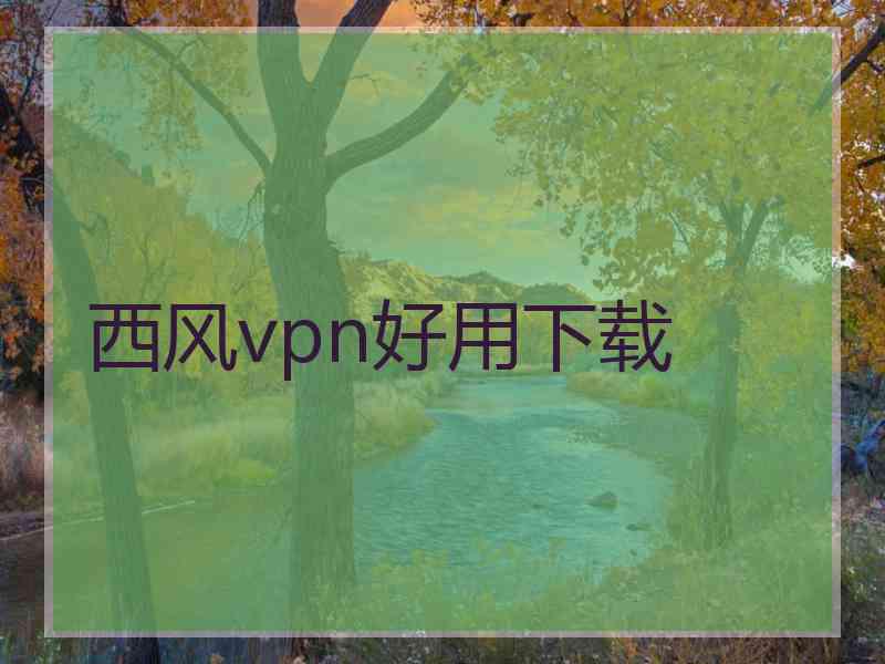 西风vpn好用下载