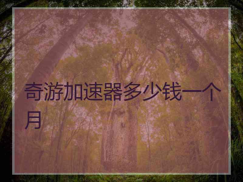 奇游加速器多少钱一个月