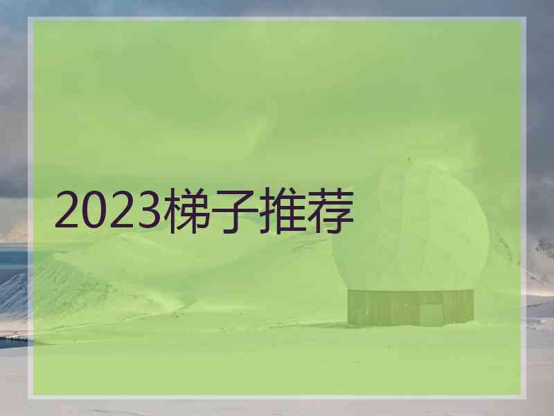 2023梯子推荐