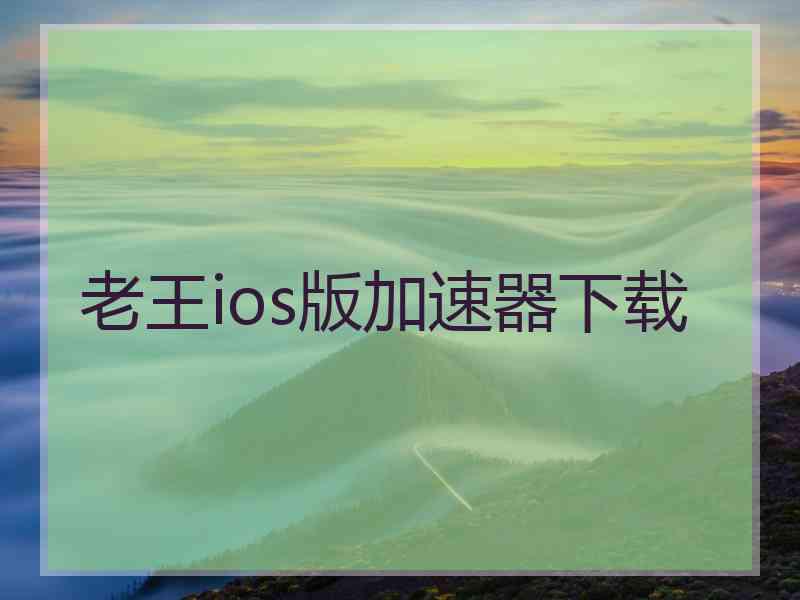 老王ios版加速器下载
